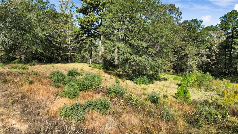 Private Road Big Sandy, TX 75755