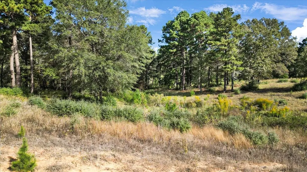 Private Road Big Sandy, TX 75755