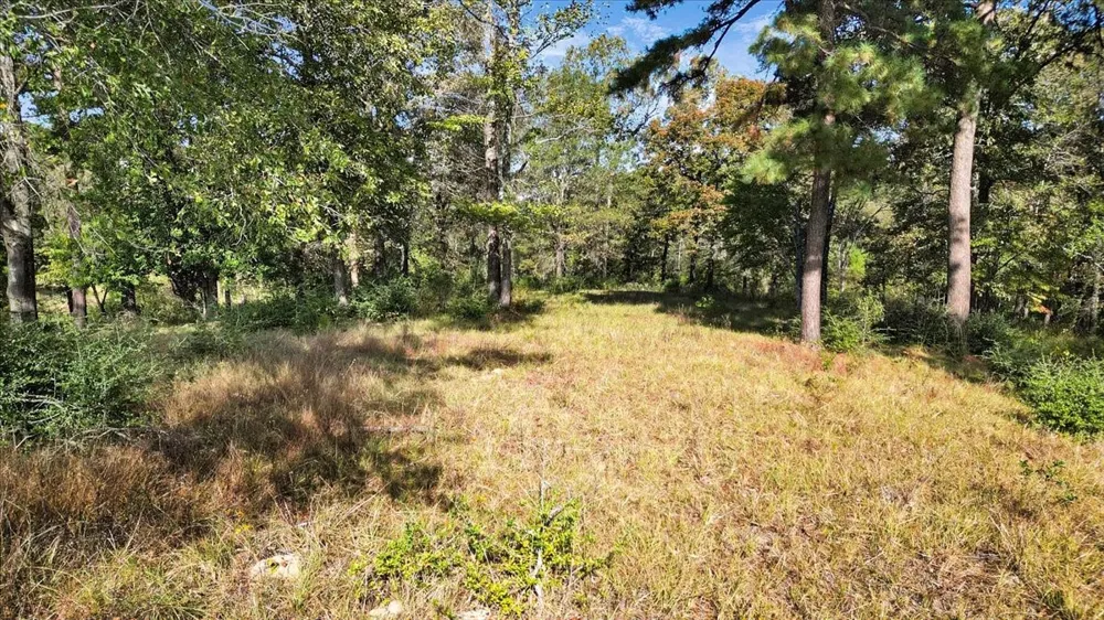 Private Road Big Sandy, TX 75755