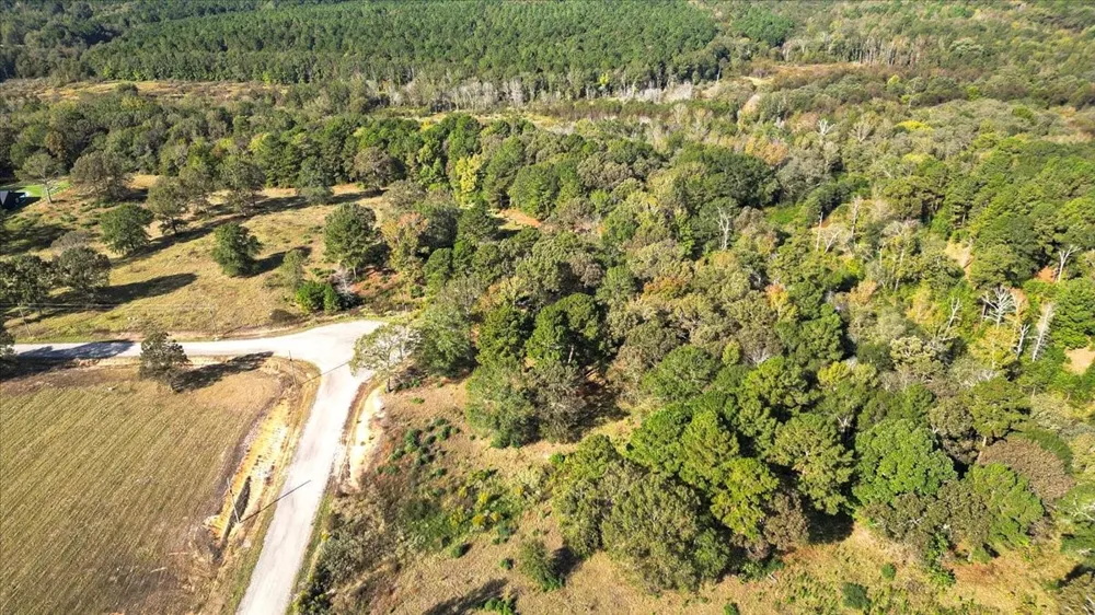 Private Road Big Sandy, TX 75755
