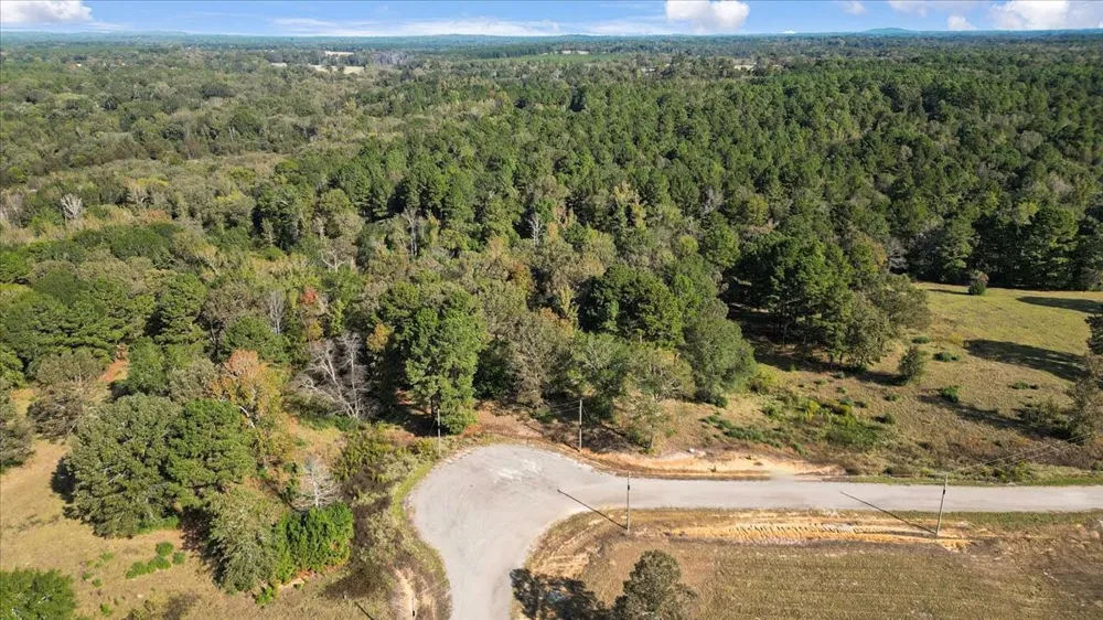 Private Road Big Sandy, TX 75755