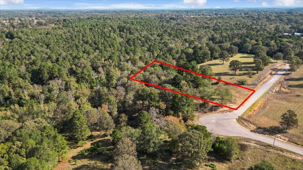 Private Road Big Sandy, TX 75755
