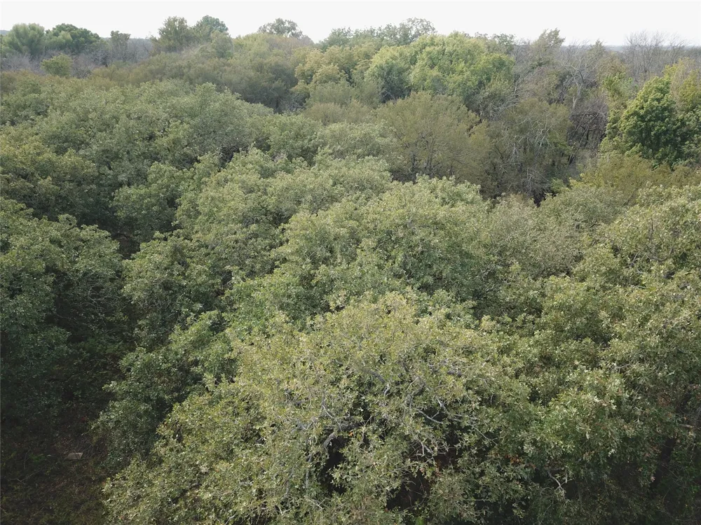 Hudson Drive Valley View, TX 76272