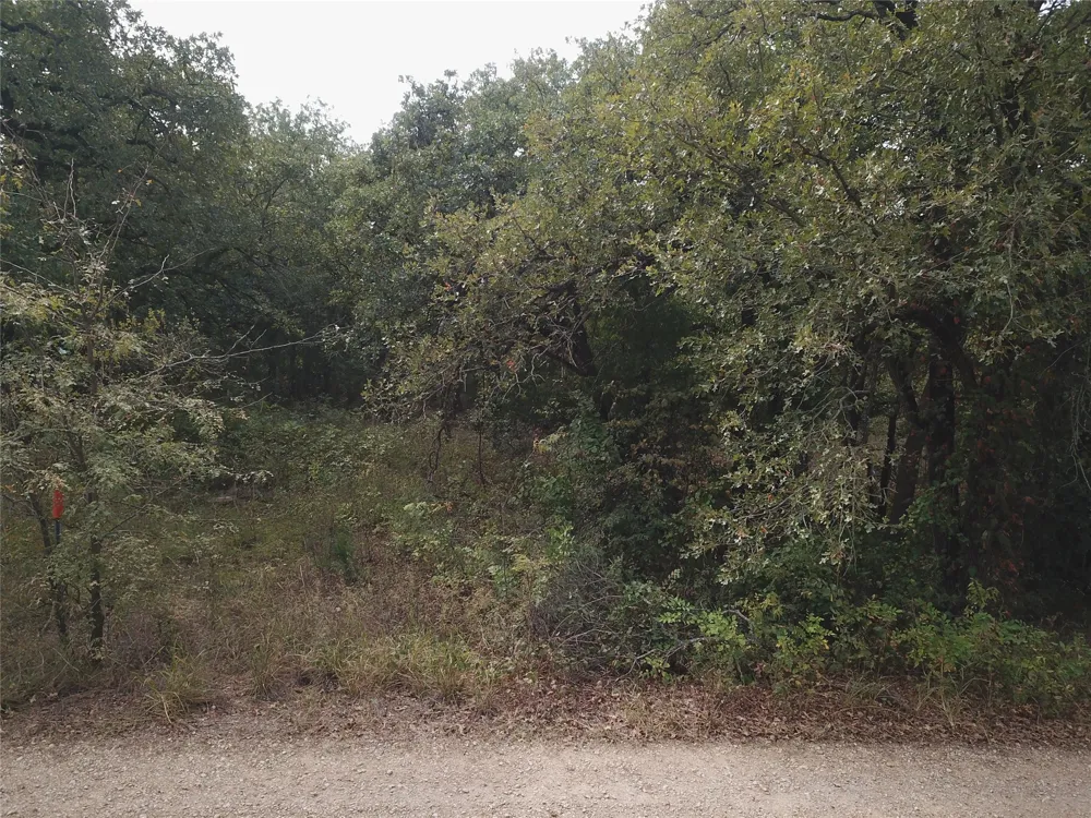 Hudson Drive Valley View, TX 76272