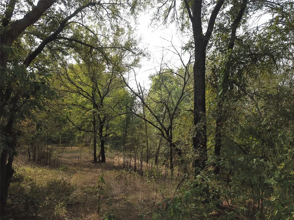Hudson Drive Valley View, TX 76272