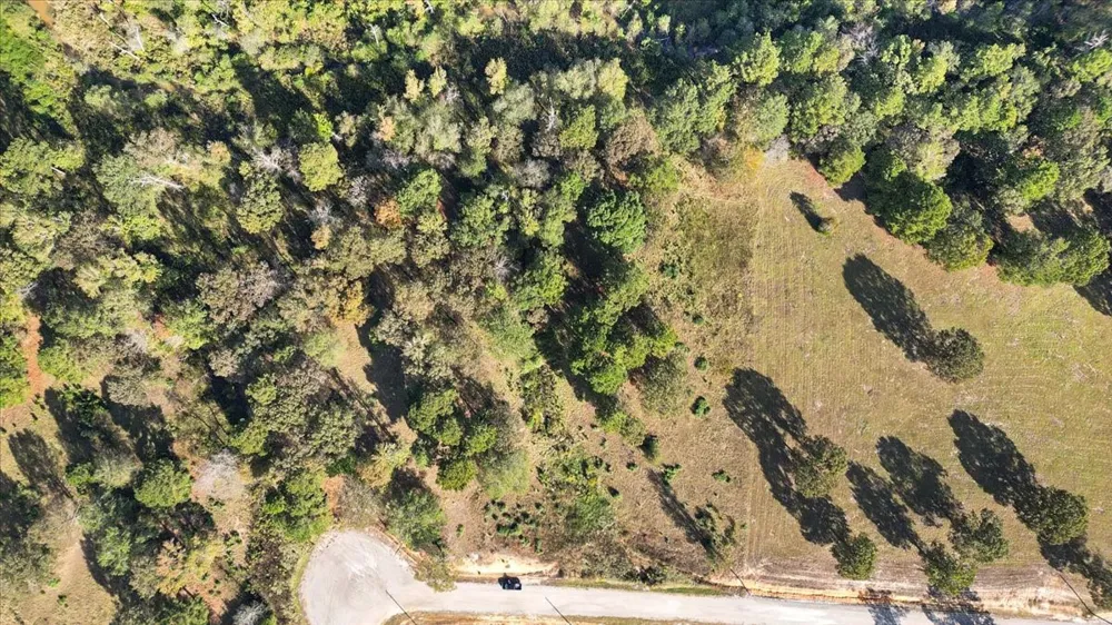 PR 3398 ROAD Big Sandy, TX 75755