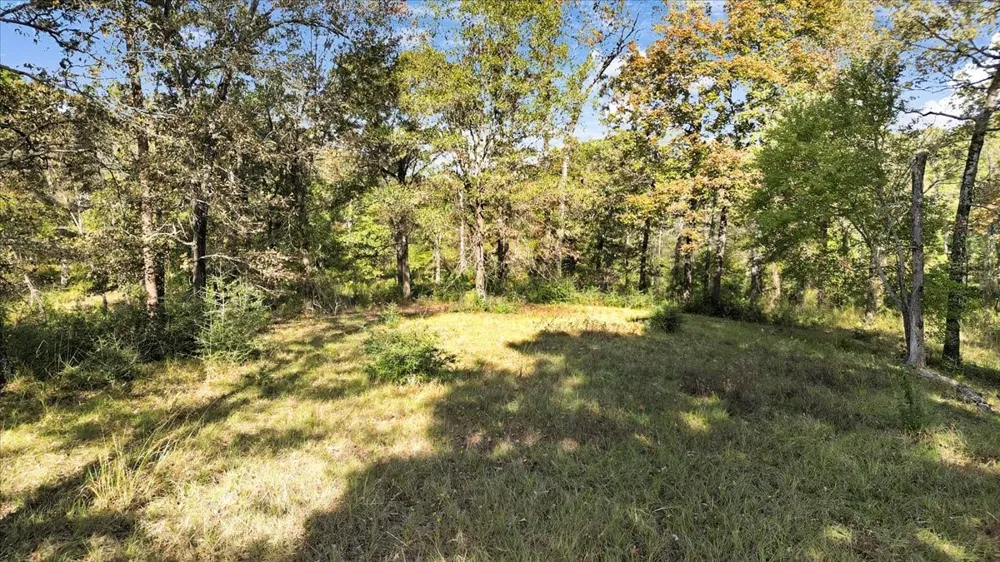 PR 3398 ROAD Big Sandy, TX 75755