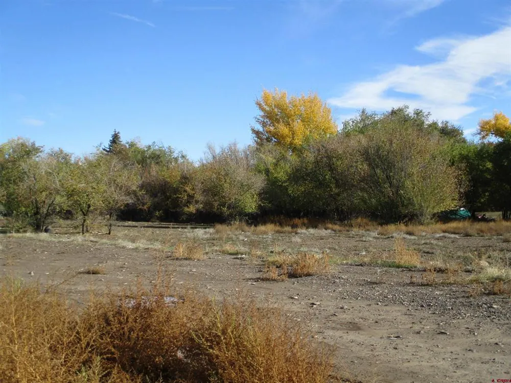 3rd Delta, CO 81416