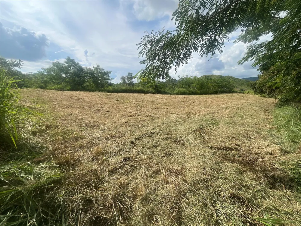 KM HM 17.7 CARR 150 Coamo, PR 00769