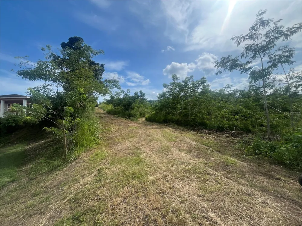 KM HM 17.7 CARR 150 Coamo, PR 00769