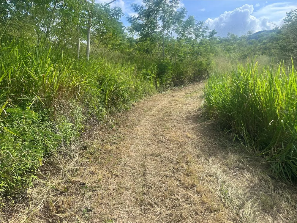 KM HM 17.7 CARR 150 Coamo, PR 00769