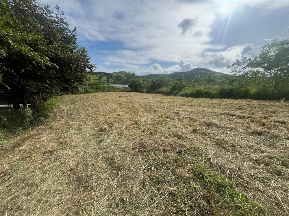 KM HM 17.7 CARR 150 Coamo, PR 00769