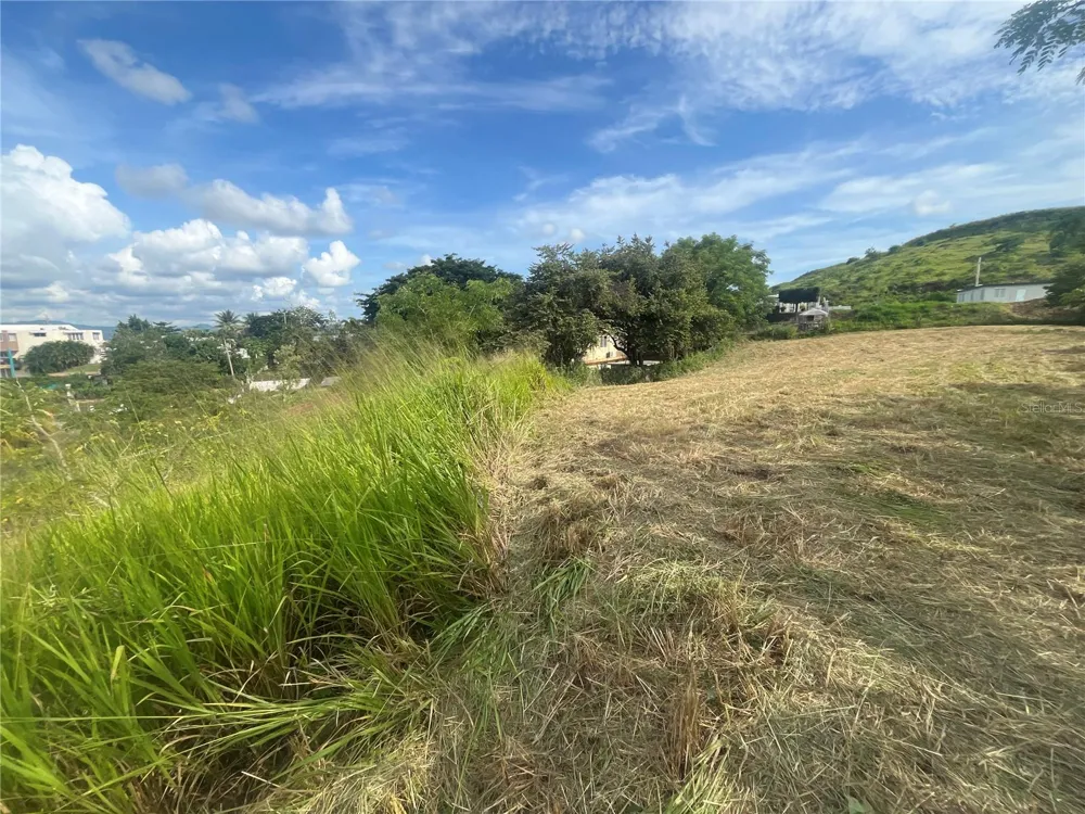KM HM 17.7 CARR 150 Coamo, PR 00769
