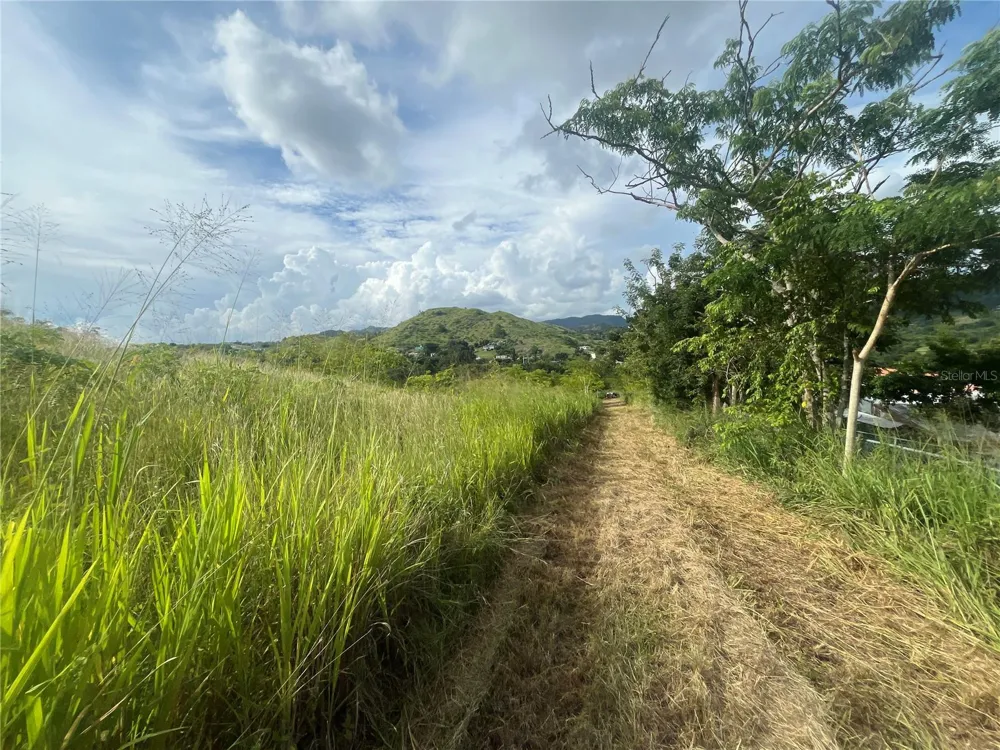 KM HM 17.7 CARR 150 Coamo, PR 00769