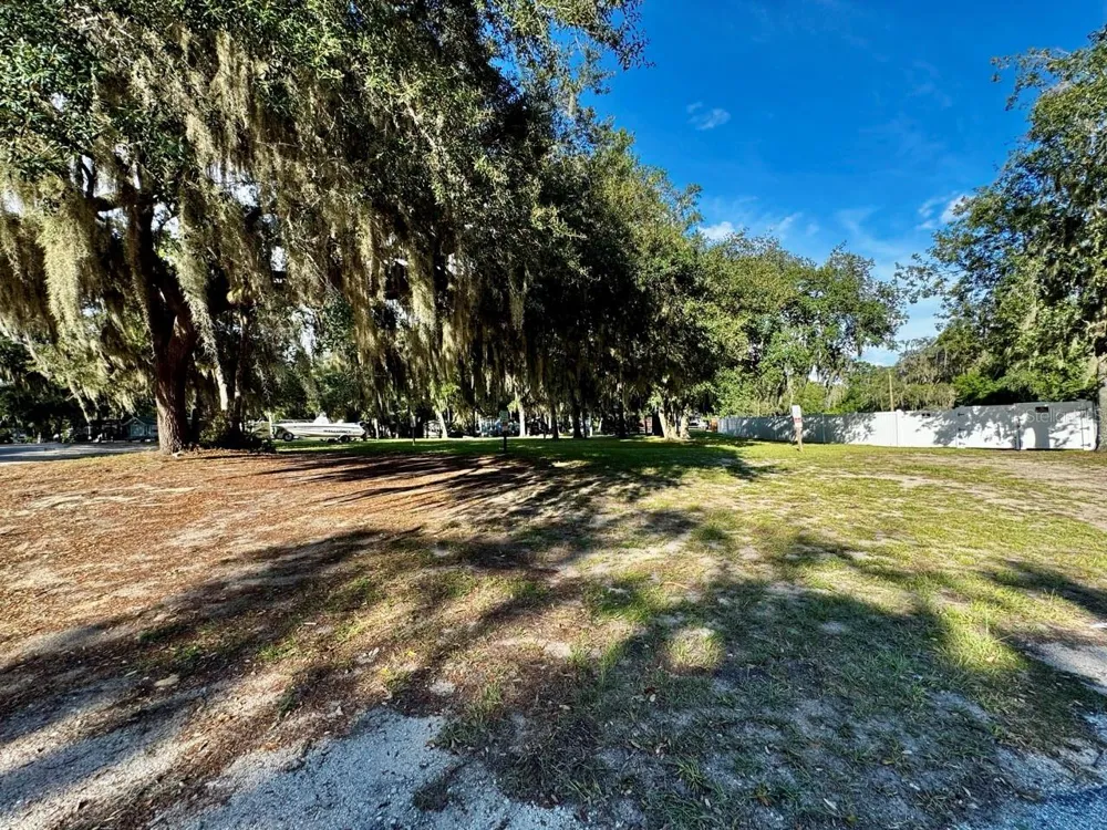 14423 NE 252ND COURT ROAD Salt Springs, FL 32134