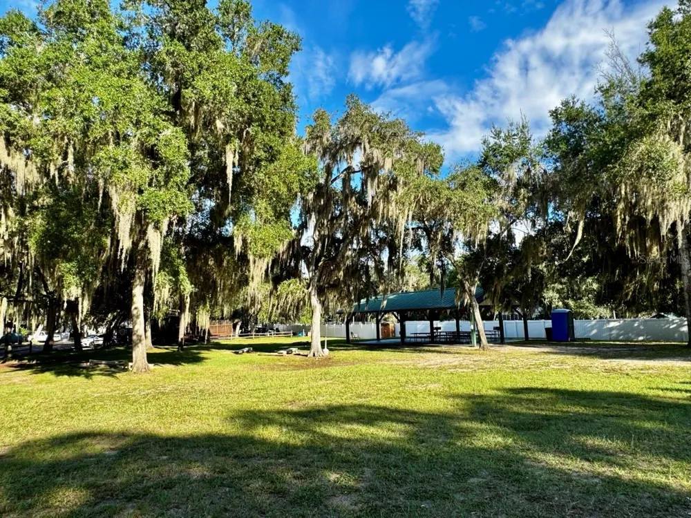 14423 NE 252ND COURT ROAD Salt Springs, FL 32134