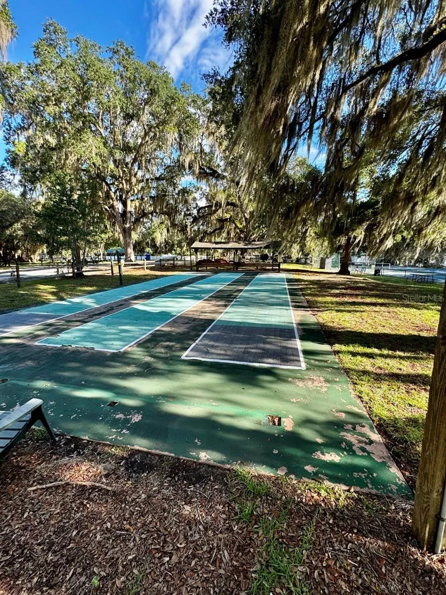 14423 NE 252ND COURT ROAD Salt Springs, FL 32134