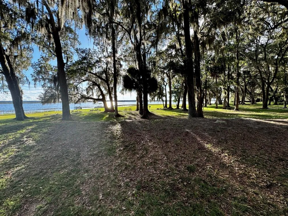 14423 NE 252ND COURT ROAD Salt Springs, FL 32134
