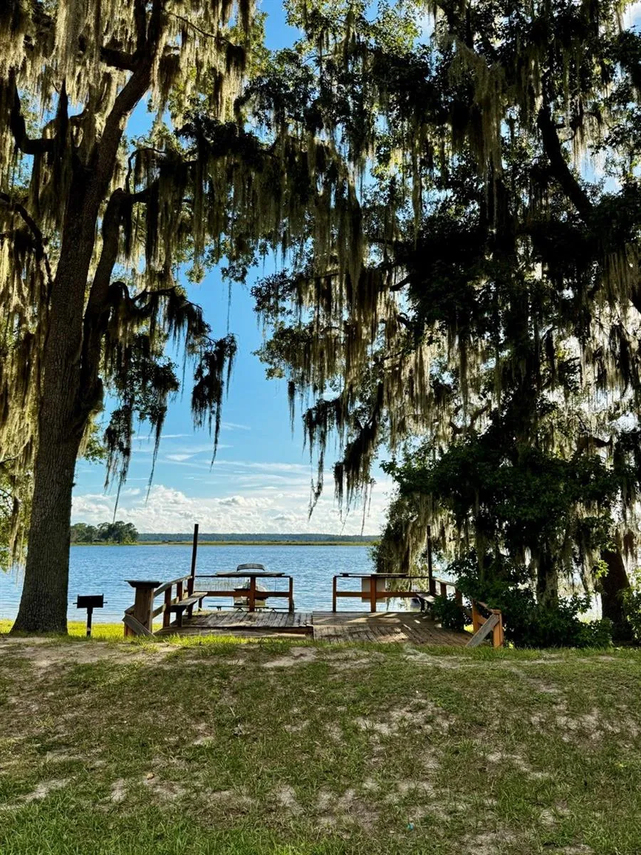 14423 NE 252ND COURT ROAD Salt Springs, FL 32134