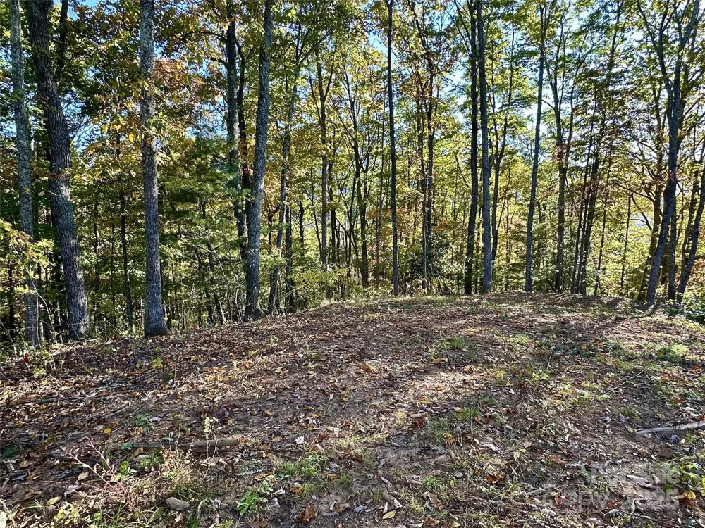 534 Cicada Drive Maggie Valley, NC 28751