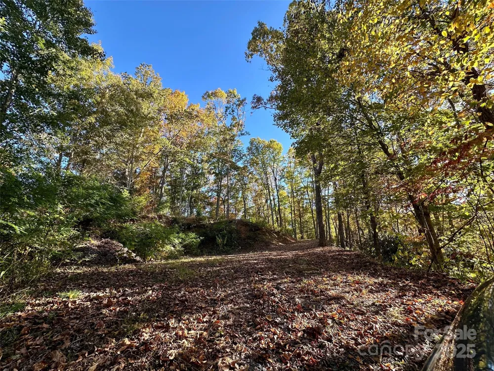 534 Cicada Drive Maggie Valley, NC 28751