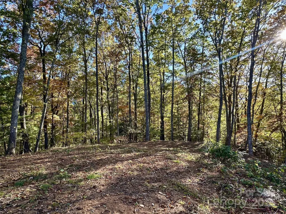 534 Cicada Drive Maggie Valley, NC 28751