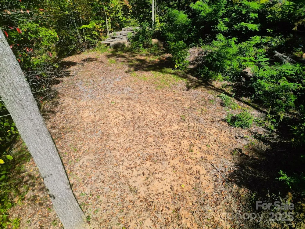 534 Cicada Drive Maggie Valley, NC 28751