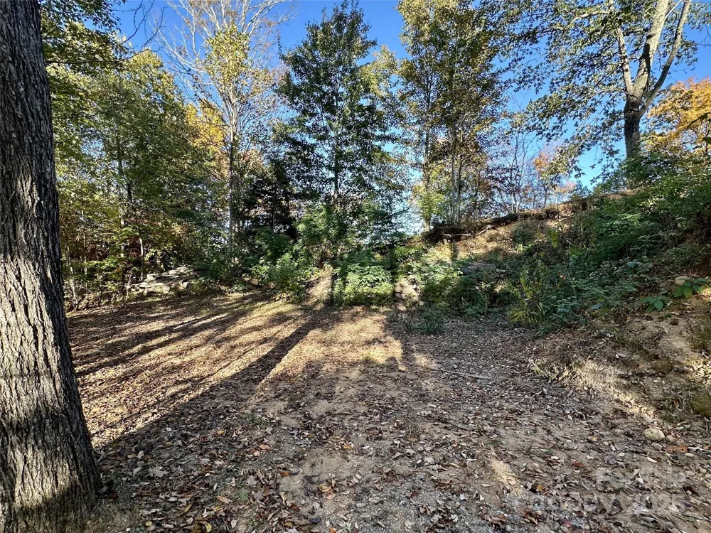 534 Cicada Drive Maggie Valley, NC 28751