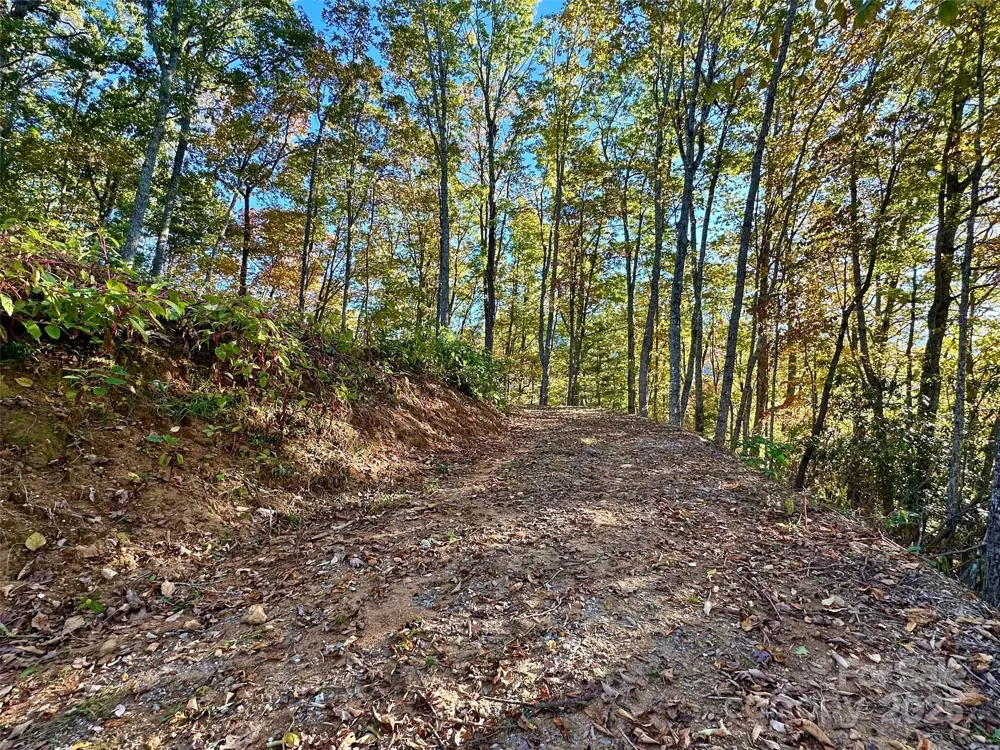 534 Cicada Drive Maggie Valley, NC 28751