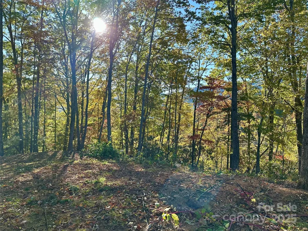 534 Cicada Drive Maggie Valley, NC 28751