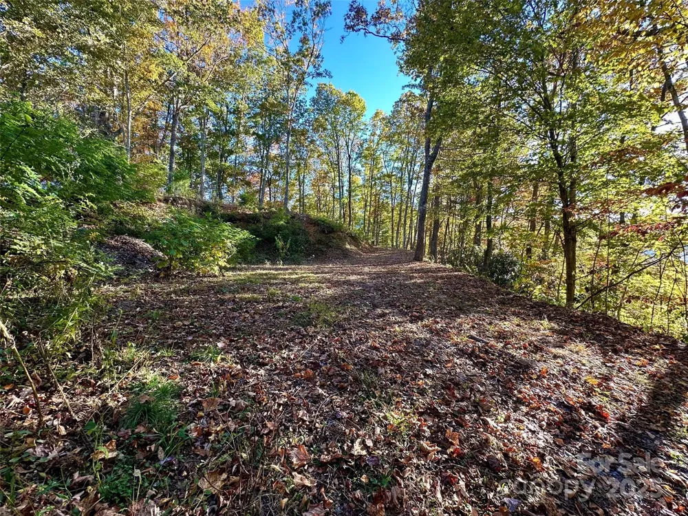 534 Cicada Drive Maggie Valley, NC 28751