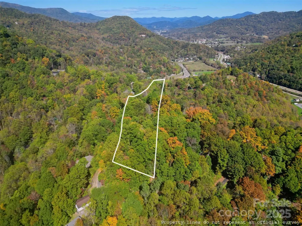 534 Cicada Drive Maggie Valley, NC 28751