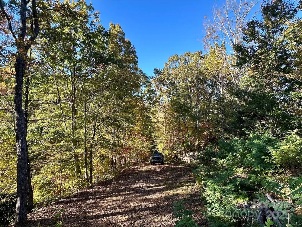 534 Cicada Drive Maggie Valley, NC 28751
