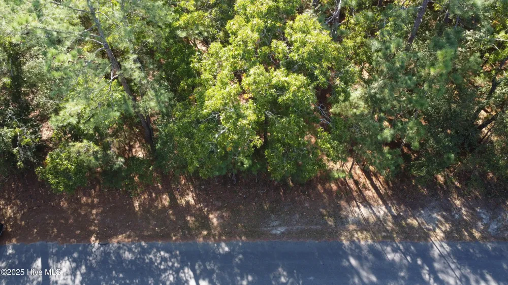 Lot 47 Ward Drive Dudley, NC 28333