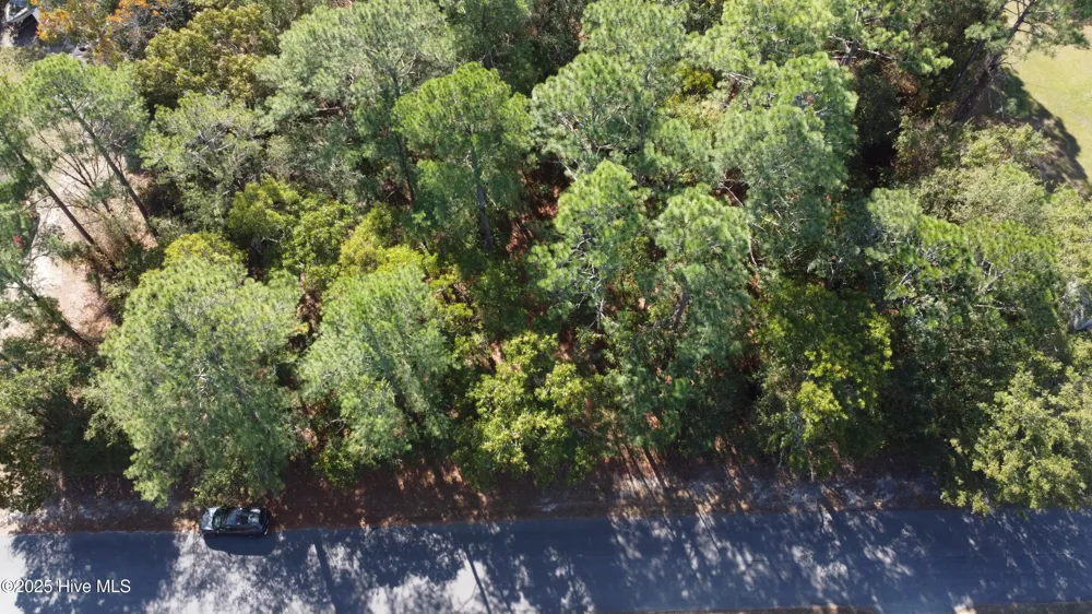 Lot 47 Ward Drive Dudley, NC 28333