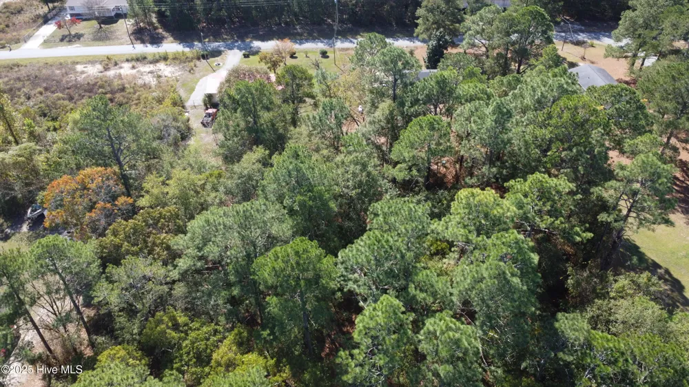 Lot 47 Ward Drive Dudley, NC 28333