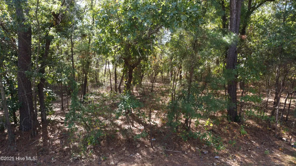 Lot 47 Ward Drive Dudley, NC 28333