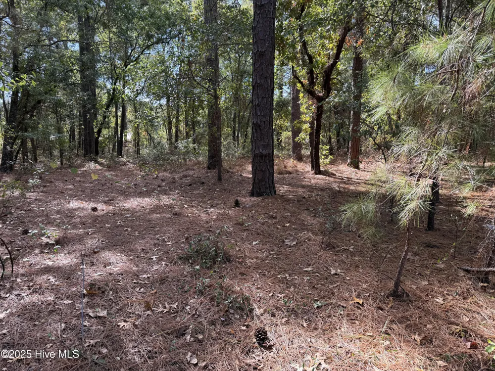 Lot 47 Ward Drive Dudley, NC 28333