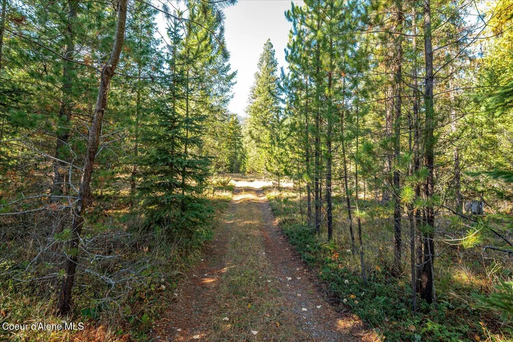 NNA Moyie River Rd Lot 2 Bonners Ferry, ID 83805
