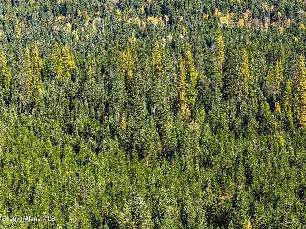 NNA Moyie River Rd Lot 2 Bonners Ferry, ID 83805