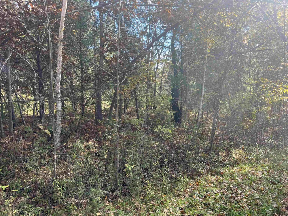 Husak Road Deep River Township, MI 48749