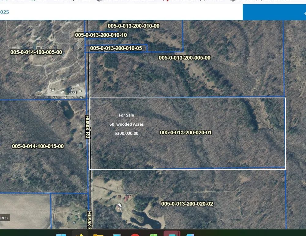 Husak Road Deep River Township, MI 48749