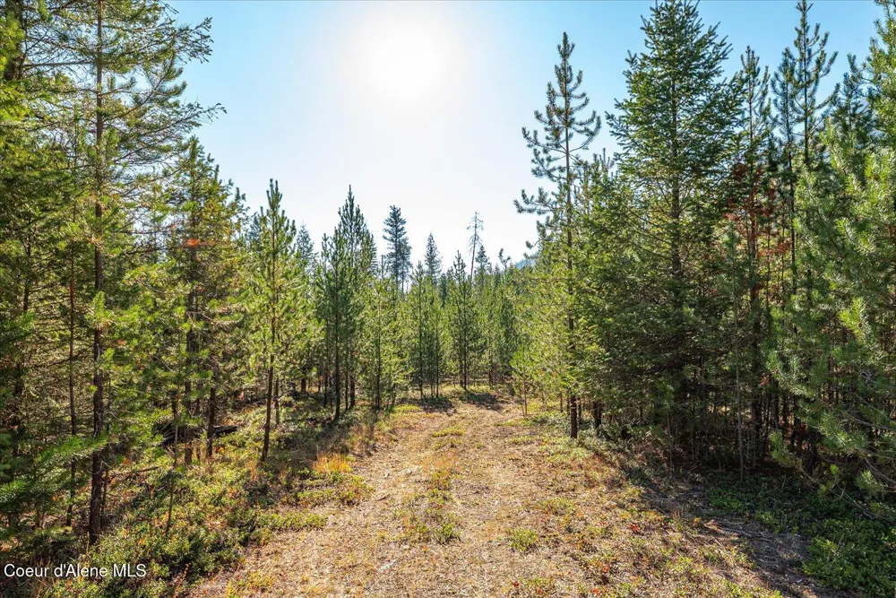 NNA Moyie River Rd Lot 3 Bonners Ferry, ID 83805