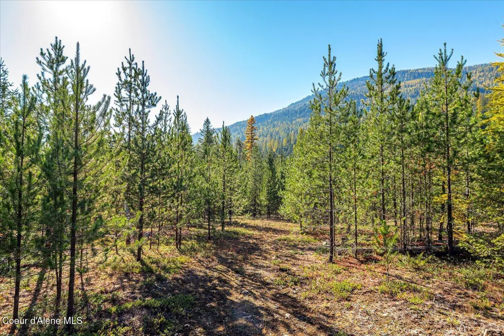 NNA Moyie River Rd Lot 3 Bonners Ferry, ID 83805