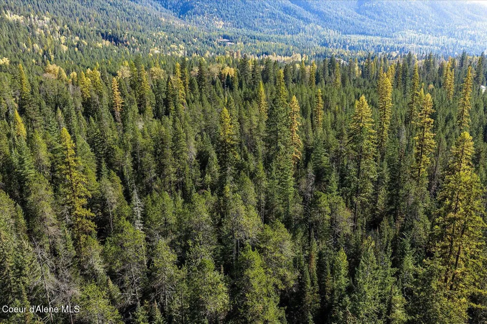 NNA Moyie River Rd Lot 3 Bonners Ferry, ID 83805