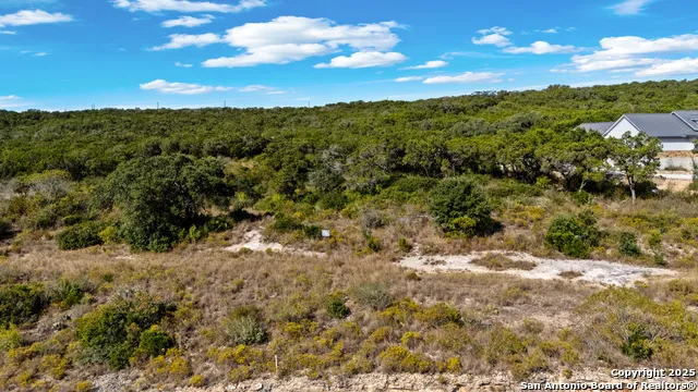 LOT 10 Pr 2775 Mico, TX 78056