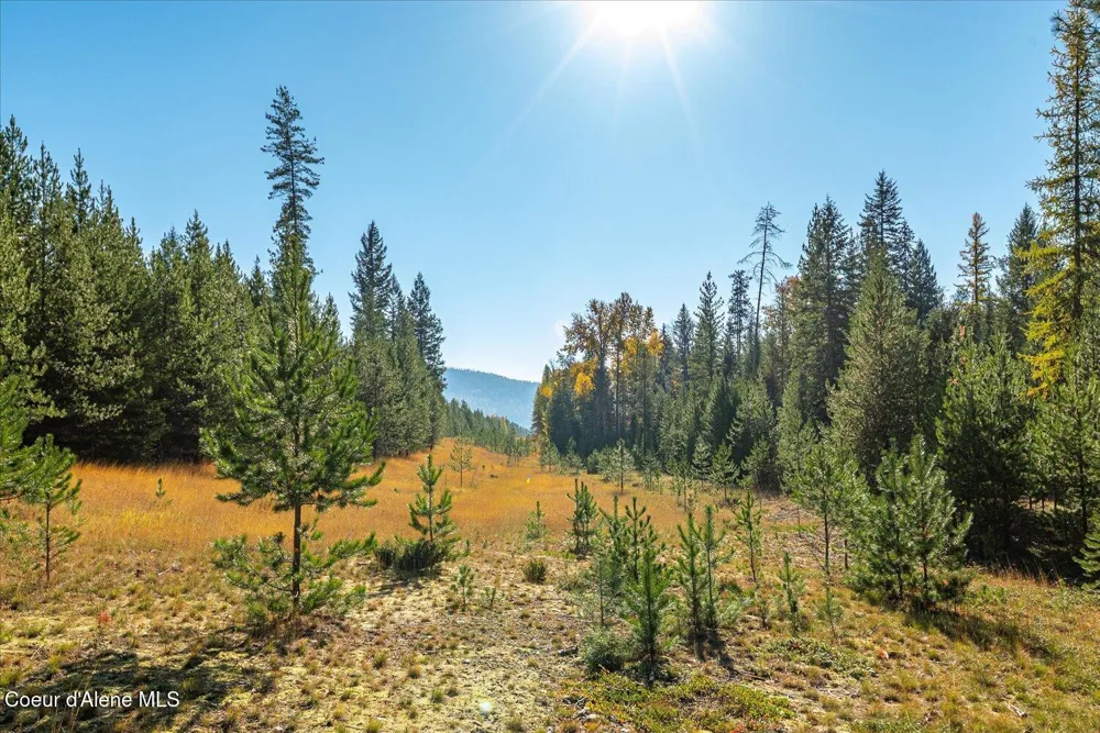 NNA Moyie River Rd Lot 2 and 3 Bonners Ferry, ID 83805