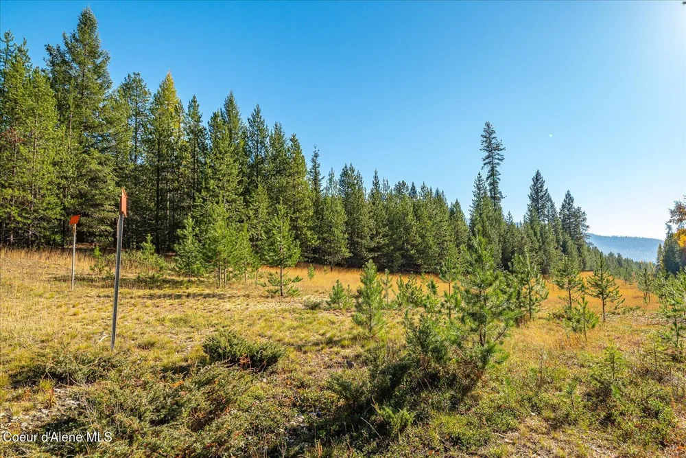 NNA Moyie River Rd Lot 2 and 3 Bonners Ferry, ID 83805