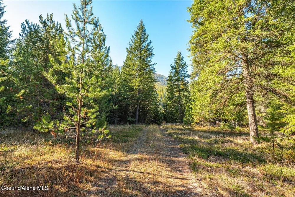 NNA Moyie River Rd Lot 2 and 3 Bonners Ferry, ID 83805
