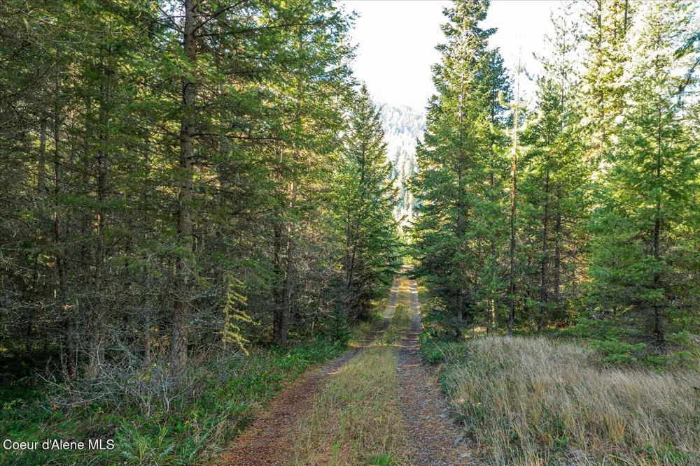 NNA Moyie River Rd Lot 2 and 3 Bonners Ferry, ID 83805